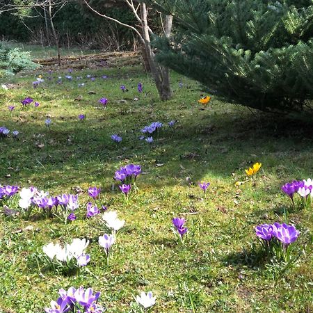 הוילה Byalobereska На Галіції מראה חיצוני תמונה