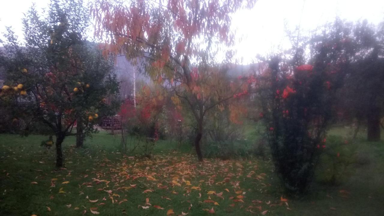 הוילה Byalobereska На Галіції מראה חיצוני תמונה